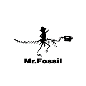 Mr.fossil